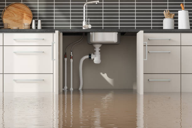 Best Residential water damage restoration  in Tamaqua, PA