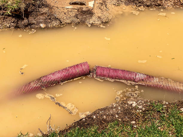 Best Water damage restoration near me  in Tamaqua, PA